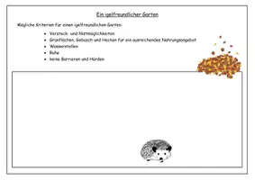 Vorschau - Stundenentwürfe - Unterrichtsstunde: Der Igel (Körper, Nahrung, Lebensraum) - Seite 1