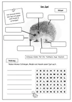 Vorschau - Stundenentwürfe - Unterrichtsstunde: Der Igel (Körper, Nahrung, Lebensraum) - Deckblatt
