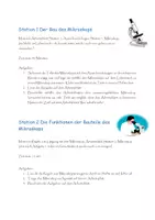 Vorschau - Stationenlernen - Stationsarbeit Mikroskopführerschein - Seite 2