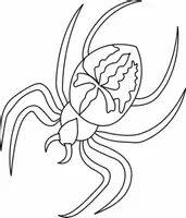 Aperçu - Matériel pour travaux manuels / dessin - Coloriage Animal Araignée - Page 1