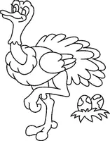Aperçu - Matériel pour travaux manuels / dessin - Coloriage Animal Autruche - Page 1
