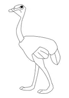 Aperçu - Matériel pour travaux manuels / dessin - Coloriage Animal Autruche - Page 3