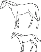 Aperçu - Matériel pour travaux manuels / dessin - Coloriage Cheval - Page 3