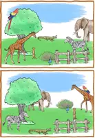 Vorschau - Spiele - Sprachförderung "Tiere im Zoo": Was fehlt? (DaZ/DaF) - Seite 2