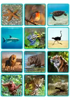 Aperçu - Jeux - Classification des animaux dans leurs habitats avec de vraies photos en ESPAGNOL - Clasificación Animales en sus Hábitats con Fotos Reales - Page 2