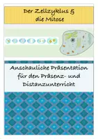 Vorschau - Präsentationen/Tafelbilder - Zellzyklus und Mitose - Deckblatt