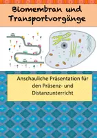 Vorschau - Präsentationen/Tafelbilder - Biomembran und Transportvorgänge MissElsi - Deckblatt