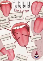 Vorschau - Stundenentwürfe - Tafelbild Die Zunge/ Geschmackssinn - Deckblatt