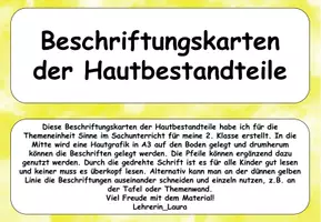 Vorschau - Poster - Sinne: Beschriftungen Haut - Seite 1