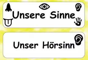 Vorschau - Unterrichtsreihen - Sachunterricht: Reihentransparenz Sinne - Seite 2