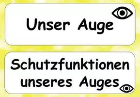 Vorschau - Unterrichtsreihen - Sachunterricht: Reihentransparenz Sinne - Seite 3