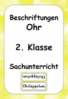 Vorschau - Poster - Sinne: Beschriftungen Ohr - Deckblatt