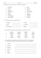 Vorschau - Arbeitsblätter - PAKET Wortfeld sagen (B2) DaF / DaZ– als PDF & Word - Seite 3