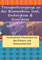 Vorschau - Präsentationen/Tafelbilder - Transportvorgänge an der Biomembran inkl. Endo- &Exocytose - Deckblatt