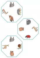 Vorschau - Spiele - Sprachförderung "Tiere im Winter": Was ist gleich? (DaZ/DaF) - Seite 2