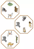 Vorschau - Spiele - Sprachförderung "Tiere im Zoo": Was ist gleich? (DaZ/DaF) - Seite 3