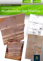 Vorschau - Mal- und Bastelvorlagen - Stockwerke des Waldes - Bastelvorlage | Biologie Klasse 7/8 - Deckblatt