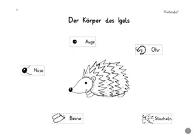 Vorschau - Arbeitsblätter - Igelheft dreifach differenziert - Seite 1