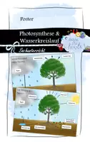 Vorschau - Poster - Photosynthese & Wasserkreislauf: Poster (bunt) - Deckblatt