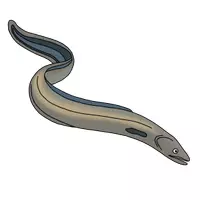 Vorschau - selbst erstellte Cliparts/Grafiken - Cliparts Fische - Seite 3