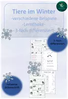 Vorschau - Stationenlernen - Tiere im Winter I Lerntheke I Überwinterungsstrategien I 3-fach differenziert - Seite 1