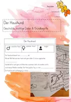 Vorschau - Arbeitsblätter - Der Haushund - Grundbegriffe - Deckblatt