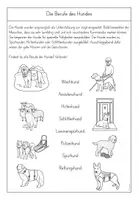 Vorschau - Arbeitsblätter - Der Haushund - Berufe des Hundes - Seite 2