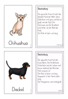 Vorschau - Spiele - Der Haushund - Lesespiel - Seite 3