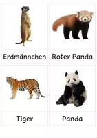 Vorschau - Bildkarten - Zootiere: 32 Bildkarten mit Fotos - Seite 2