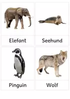 Vorschau - Bildkarten - Zootiere: 32 Bildkarten mit Fotos - Seite 3