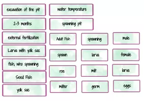 Aperçu - Cartes / Images - Ensemble de cliparts : Le poisson - Du frai au poisson - Page 3