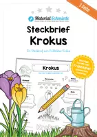 Vorschau - Arbeitsblätter - Steckbrief Krokus - Deckblatt