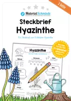 Vorschau - Arbeitsblätter - Steckbrief Hyazinthe - Deckblatt