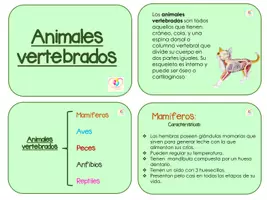 Vista previa - Unidades / Secuencias / Situaciones de Aprendizaje - Clasificación de animales vertebrados con hojas de trabajo. - página 2