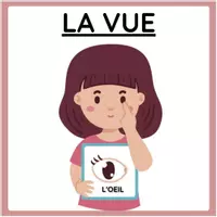 Aperçu - Apprentissages en autonomie - LES 5 SENS - AFFICHAGES ET JEU DE MANIPULATION' - Page 2