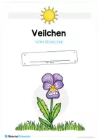 Vorschau - Arbeitsblätter - Mega-Bundle: Frühblüher (6 Materialpakete) - Seite 2