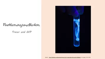 Vorschau - Präsentationen/Tafelbilder - Tracer: Präsentation über die Markierungsmethoden in der Biologie - Deckblatt