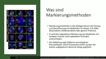 Vorschau - Präsentationen/Tafelbilder - Tracer: Präsentation über die Markierungsmethoden in der Biologie - Seite 1