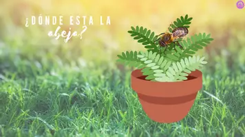Aperçu - Jeux - Prépositions de lieu avec punaises et insectes - Présentation animée en ESPAGNOL - Preposiciones de Lugar con Bichos e Insectos - Presentación Animada - Page 3