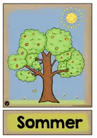 Vorschau - Poster - Jahreszeiten - Apfelbaum im Jahresverlauf | Tafelkarten - Seite 2
