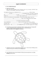 Vorschau - Arbeitsblätter - Typisch Schildkröte! (Einheit Reptilien) - Seite 2
