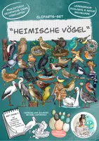Vorschau - Arbeitsblätter - Cliparts-Set "Heimische Vögel" / Vogelarten - Deckblatt