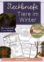 Vorschau - Stundenentwürfe - Materialpaket Waldtiere - Tiere im Wald, Tiere im Winter | Bildkarten, Wissenskartei, Klammerkarten - Seite 1
