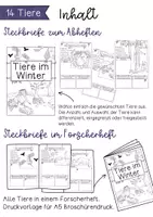 Vorschau - Stundenentwürfe - Materialpaket Waldtiere - Tiere im Wald, Tiere im Winter | Bildkarten, Wissenskartei, Klammerkarten - Seite 2