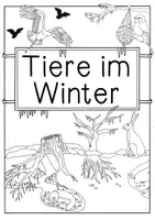 Vorschau - Stundenentwürfe - Materialpaket Waldtiere - Tiere im Wald, Tiere im Winter | Bildkarten, Wissenskartei, Klammerkarten - Seite 3