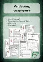 Vorschau - Stundenentwürfe - Gruppenpuzzle zum Thema Verdauung, kooperativ, differenziert - Deckblatt