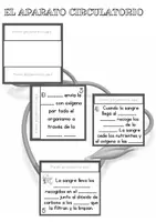 Vista previa - Hojas de trabajo - APARATO CIRCULATORIO - página 3