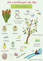 Vista previa - Hojas de trabajo - Hojas de trabajo de las cuatro estaciones del año: invierno, primavera, verano, otoño - página 2