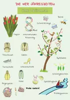 Vorschau - Arbeitsblätter - Die Vier Jahreszeiten Arbeitsblätter: Winter, Frühling, Sommer, Herbst - Seite 2