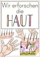 Vorschau - Arbeitsblätter - Forscherheft/ Arbeitsblätter: Die Haut/ Tastsinn - Seite 3